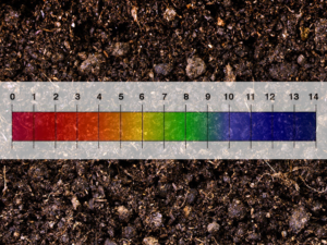 soil pH