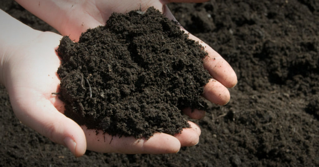 Man holding Topsoil