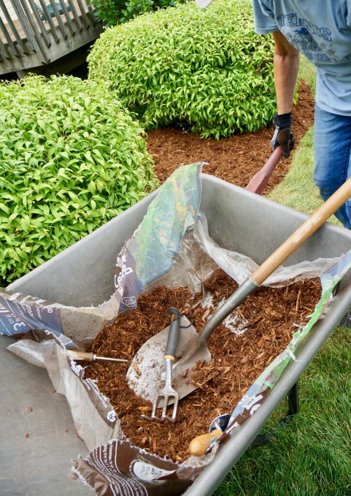 Woman using a wheelbarrow full of mulch as she does her gardening