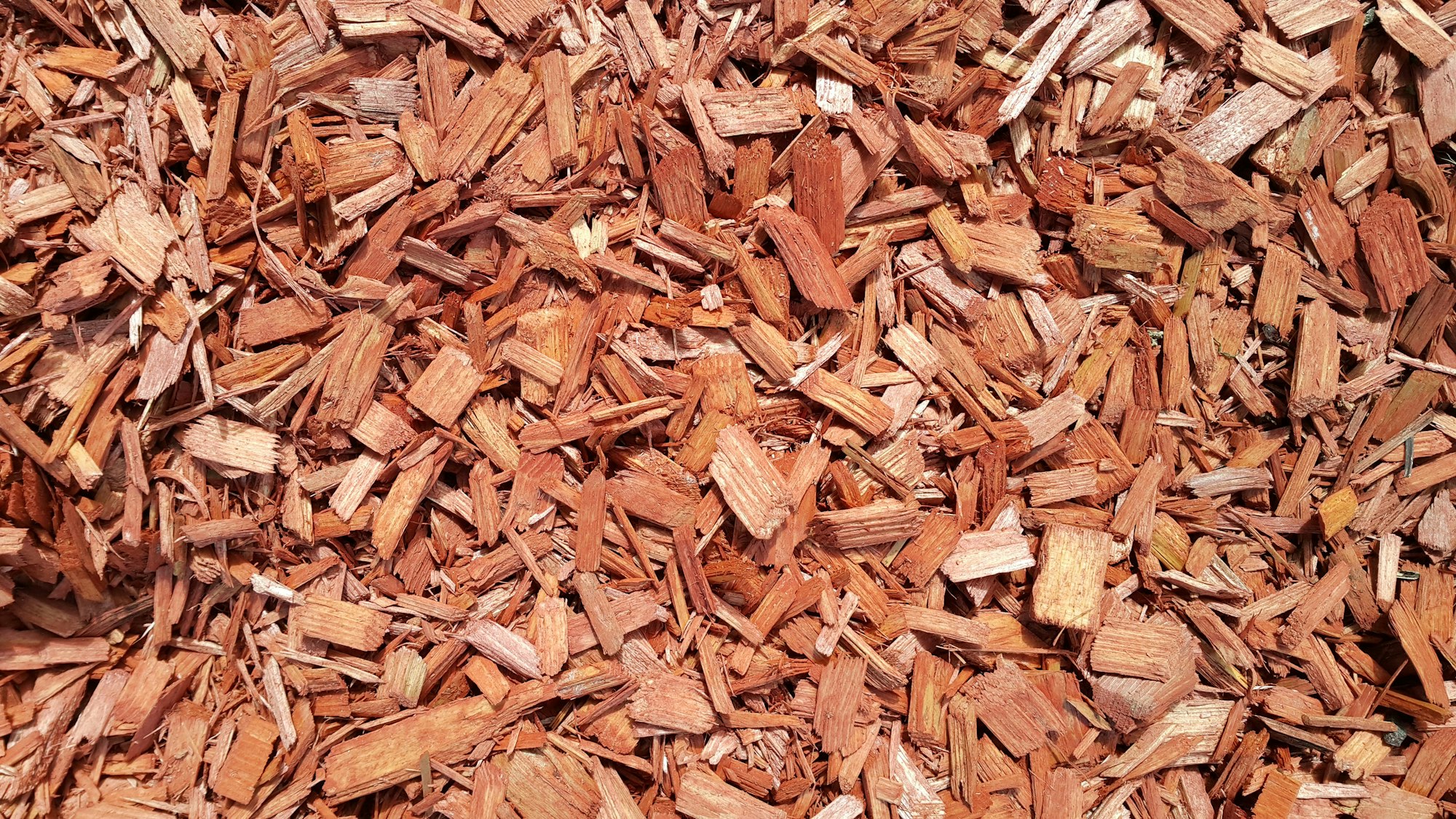 Natural background of red mulch, close up photo