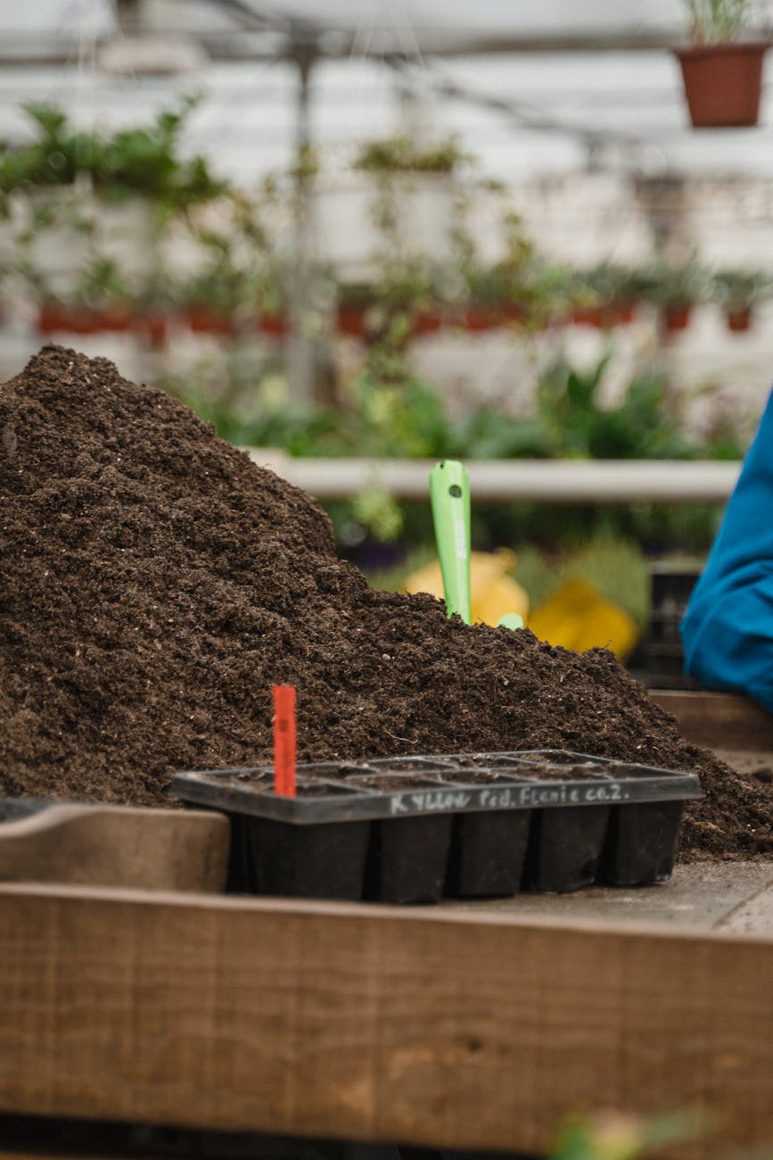 soil on top of a table