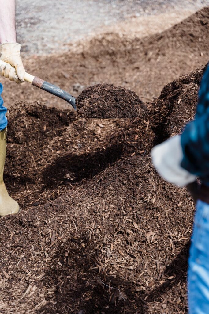 a person shoveling the soil