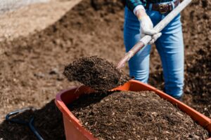 shoveling wood mulch in an orange wheel barrow