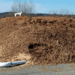 Composted Horse Manure
