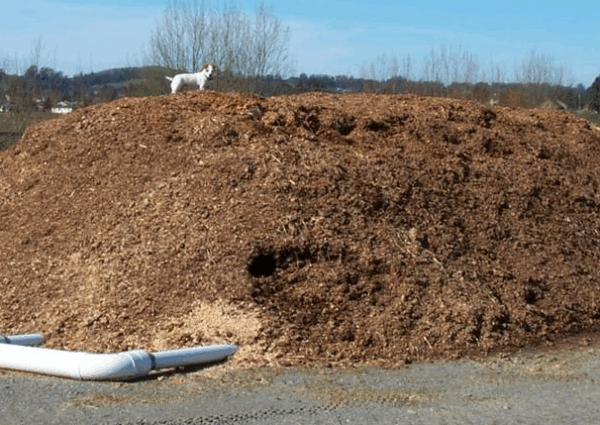Composted Horse Manure