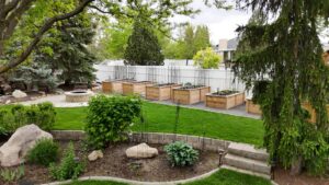 YArd with garden boxes